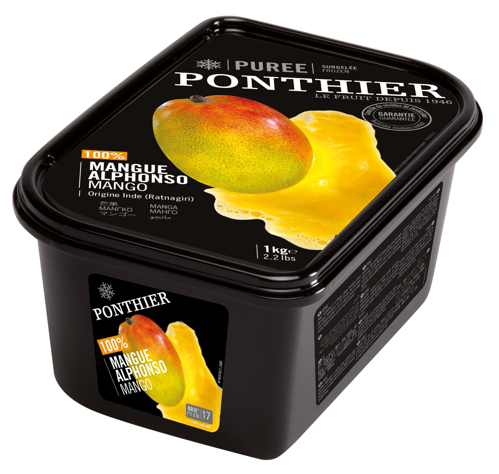 Picture of PONTHIER Mango Püresi